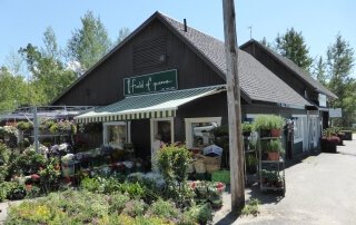 Field of Greens, Port Carling